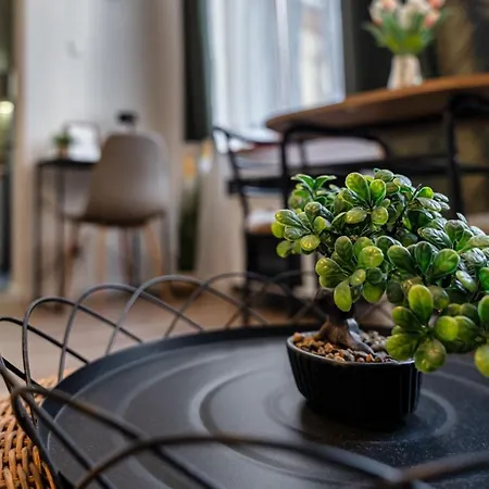 Palm Near By Heroes Square With Free Parking *