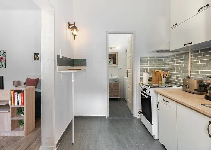 Palm Near By Heroes Square With Free Parking * Budapest